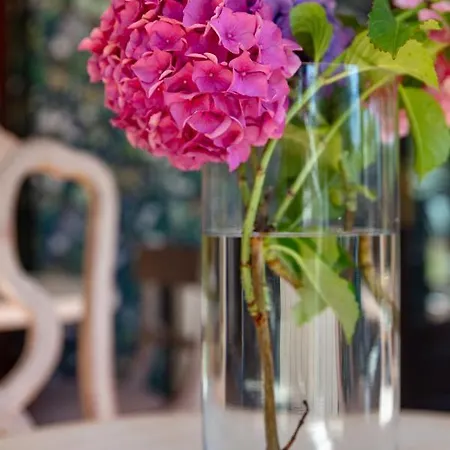 فندق La Casona De