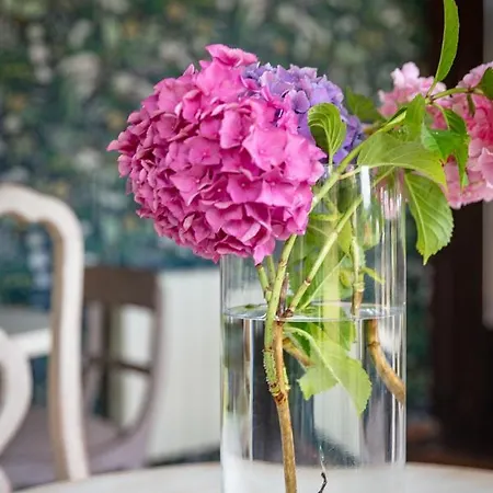 La Casona De فندق نويفا دي يانس