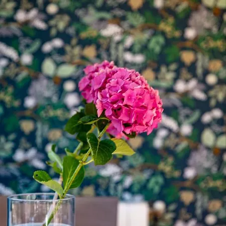 Hotel La Casona De 3*